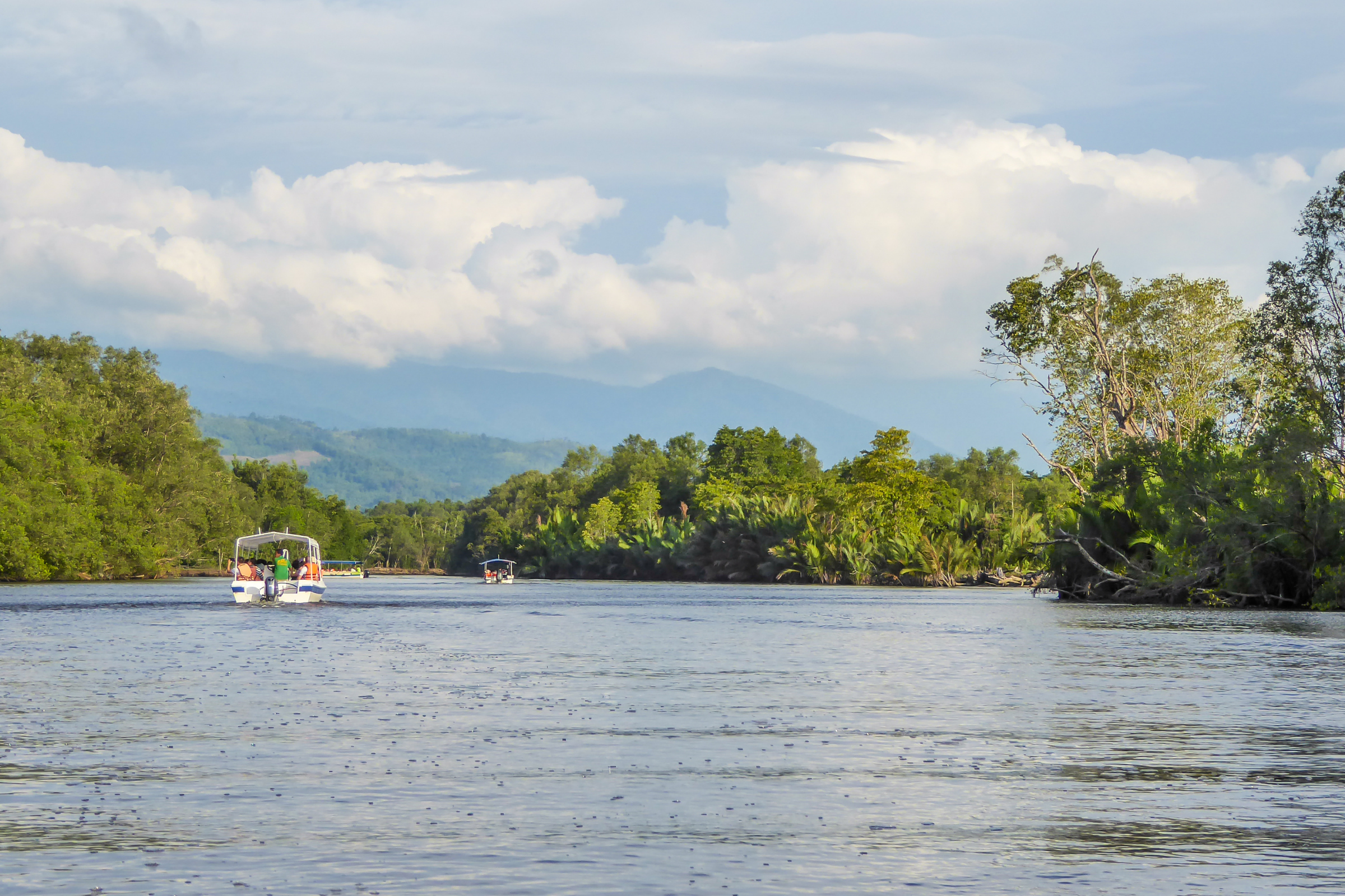 bako national park (3).webp